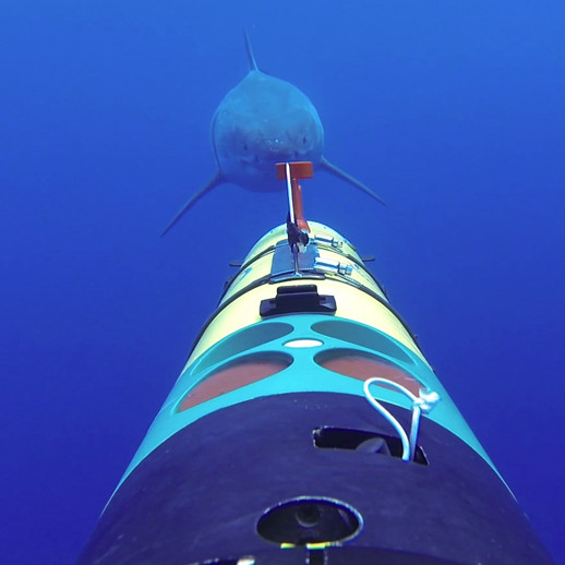 Oceans Science Exhibit Center