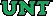 UNT Logo