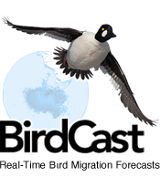 BirdCast: Real-time bird migration forecasts