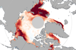 Sea ice anomaly, November 2016