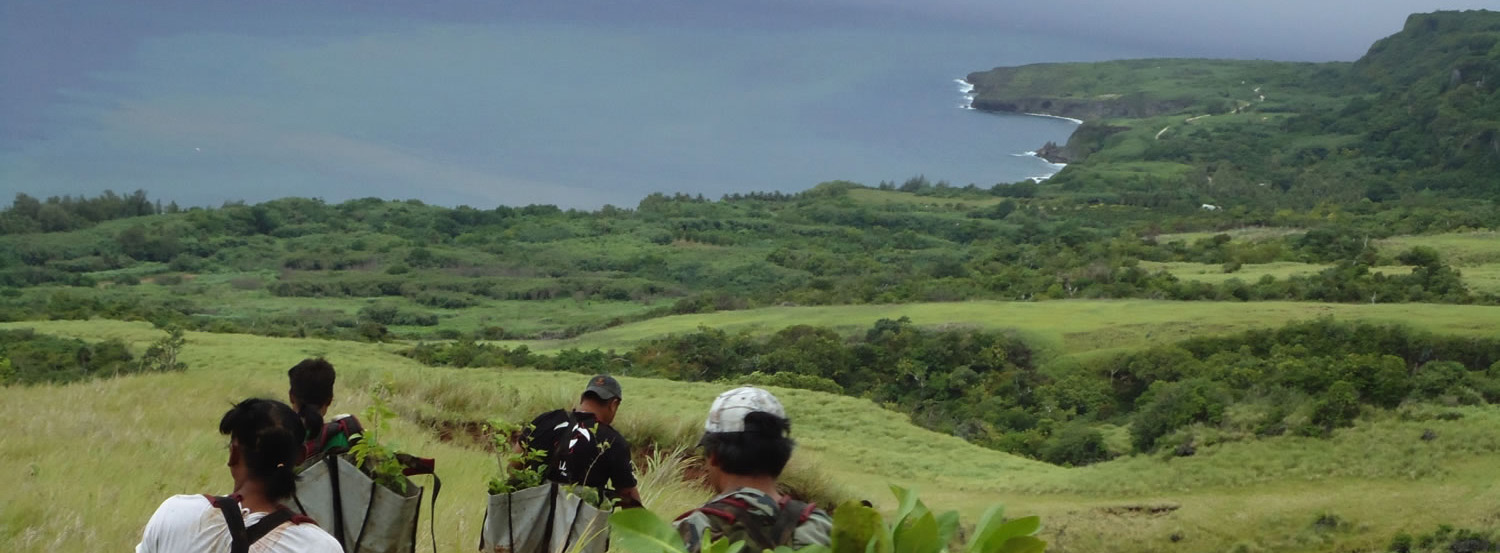 Restoring Talakhaya Watershed in the Commonwealth of the Northern Mariana Islands