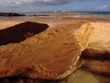 A stream in Hawaii choked by a red algal bloom.    Credit: US EPA