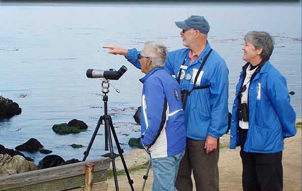 Volunteers working at shoreline