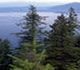 Photo: Trees on New England mountainside with lake and blue sky behind.