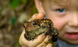 Boy with frog. Photo by Tom Woodward / Flickr