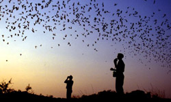 Birdwatchers. Photo by Oklahoma Department of Wildlife Conservation