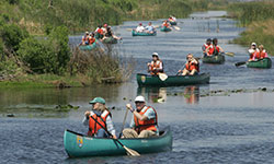 Touring by canoe. Photo creedit: USFWS / Steve Hillebrand