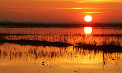 Sunrise. Photo credit: USFWS / Steve Hillebrand