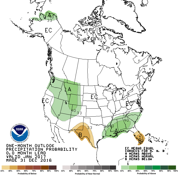 1-month precip forecast, 0.5-mo lead