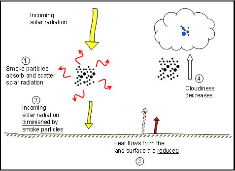 Comparison of light scattering by organic and inorganic particles