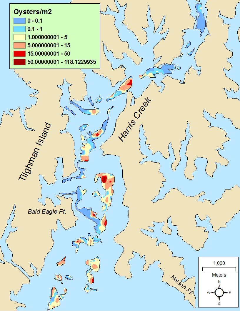 existing oyster reefs