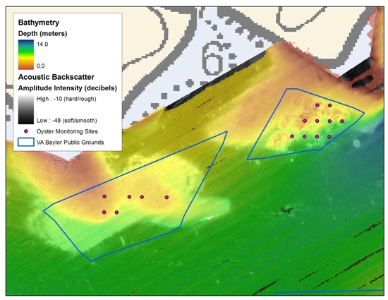 Composite image of backscatter and partially transparent bathymetry data collected by the NOAA Chesapeake Bay Office with historic oyster boundaries and recent monitoring sites in the Great Wicomico River, Virginia.