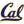 Cal Bears Basketball