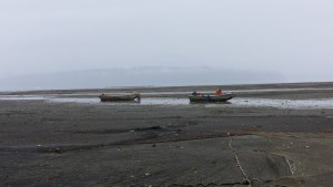 Manila Clam Farm, Brinnon, WA.  Credit:  Jenifer Rhoades, IOOS