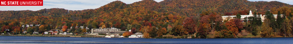 Lake Junaluska