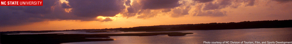 Bogue Sound