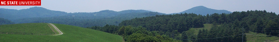 Laurel Springs Landscape