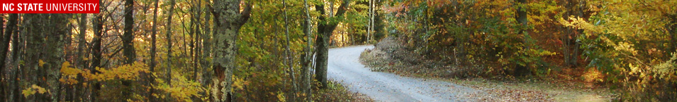 Winding Mountain Road