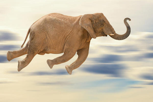 Get cloud-based Hadoop up and running today