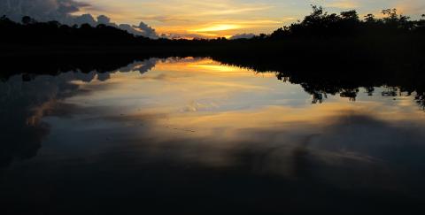 Sunset over Rio Napo