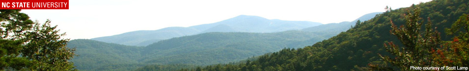 View from Glen Falls