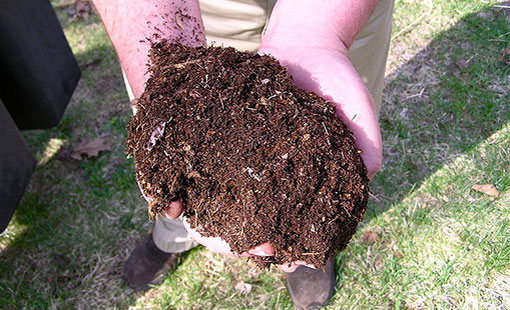 Get all the dirt on compost