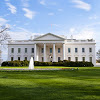 The White House