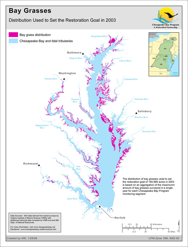<strong>Bay Grasses  -  Distribution Used to Set the Restoration Goal in 2003</strong><br />This map shows the historic distribution of bay grasses that was used in 2003 to set the Chesapeake Bay Program SAV (or bay grass) restoration goal of 184,899 acres.  This goal is based on an aggregation of the maximum amount of SAV surveyed in a single year for each Bay Program monitoring segment.

Bay grasses are a vital part of the Chesapeake Bay ecosystem. They provide habitat for crabs and…