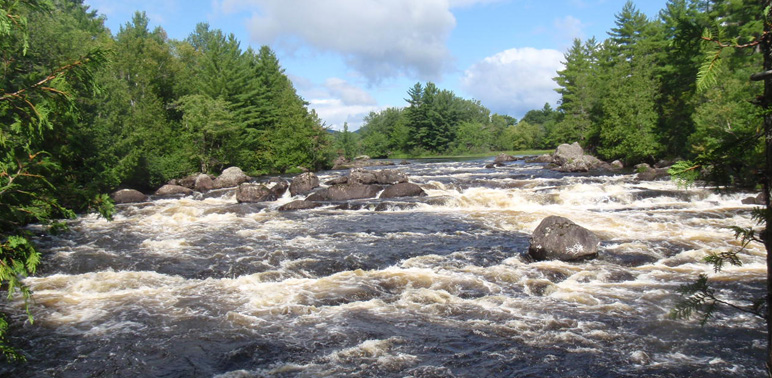 Take a Virtual Tour of Maine's Penobscot River