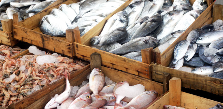 Proposed Rule for Seafood Traceability Program