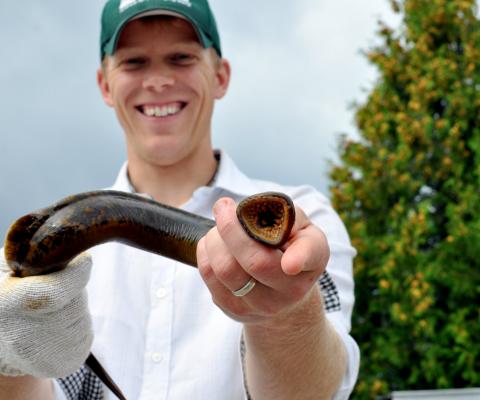 Nick Johnson, USGS, Holding Male Sea Lamprey - Credit USGS