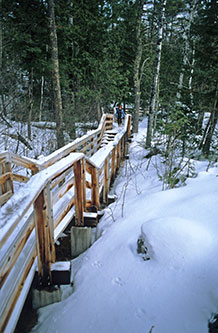Trail in the winter at Copper Falls State Park.