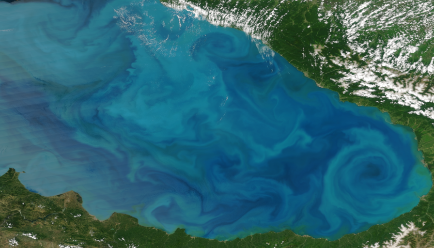 Algae bloom in the east part of the Black Sea on June 3, 2012