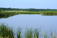 pond near farmland