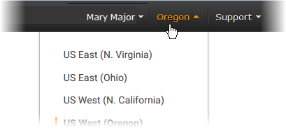 Region selector