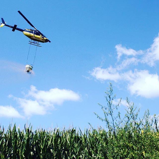 While aerial seeding isn’t new, GPS technology is a new enhancement that makes the practice more efficient and effective. @whittierfarms signed up for aerial cover crop seeding offered by USDA’s Natural Resources Conservation Service (NRCS). The conservation practice involves a helicopter swooping over corn fields, releasing winter rye seed from a hopper swinging beneath the chopper. It's a very controlled seed application that uses GPS to track the helicopter’s flight path and precisely map where seed was distributed. #modernfarming #aerialseeding