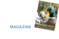Subscribe to Iowa Outdoors Magazine