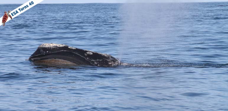 Teacher at Sea Learns the Right Kind of Lessons 