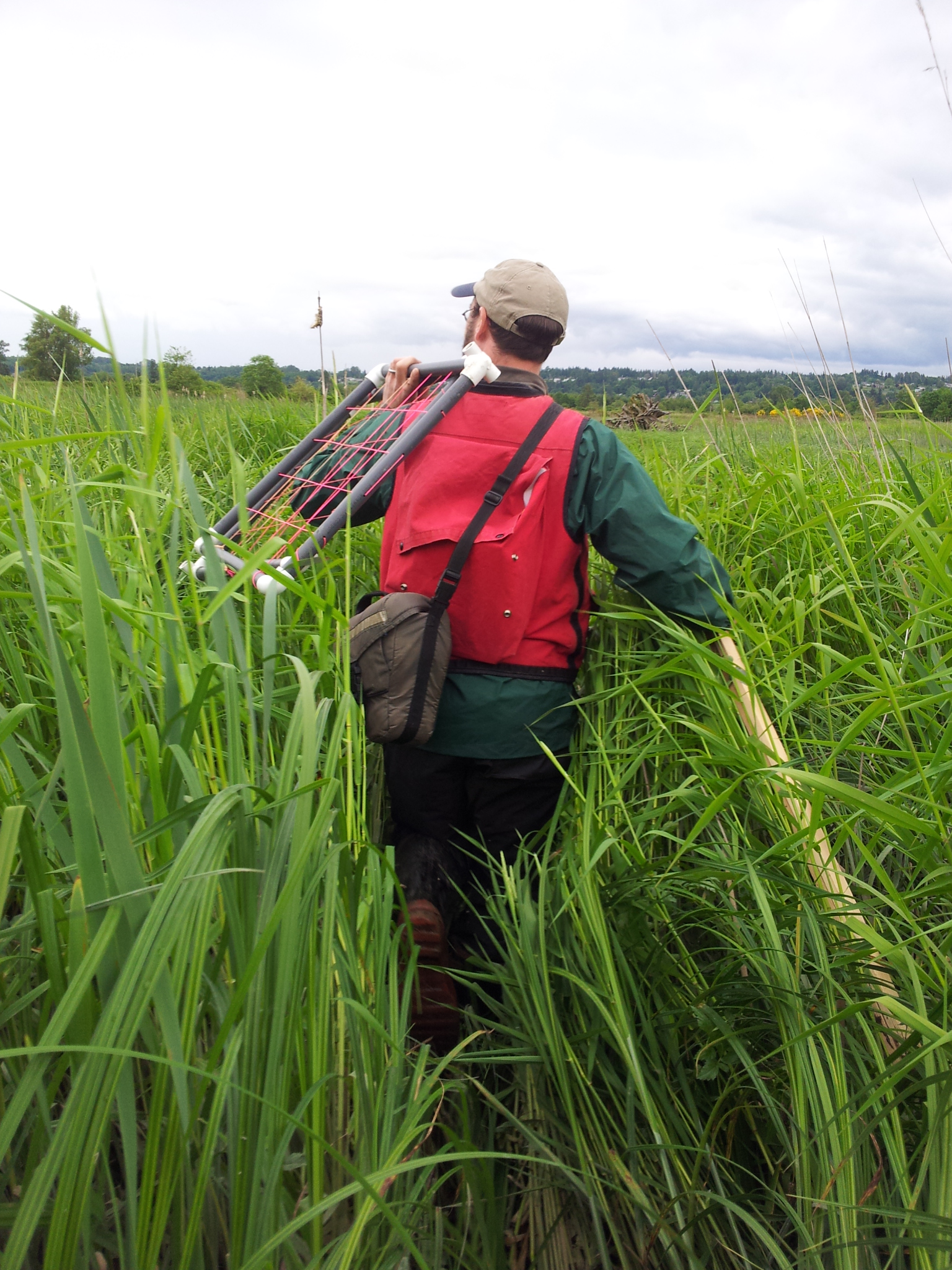 blue carbon man in field 032316