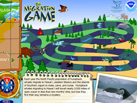Humpback Whale Migration Game