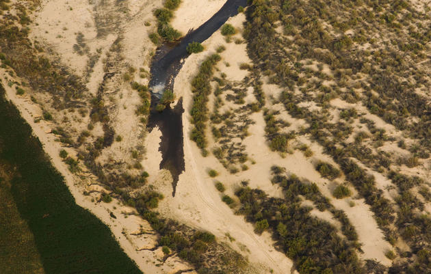 Pulses of Water Bring Life to the Famished Colorado River