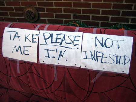 Iâ€™m not infested!