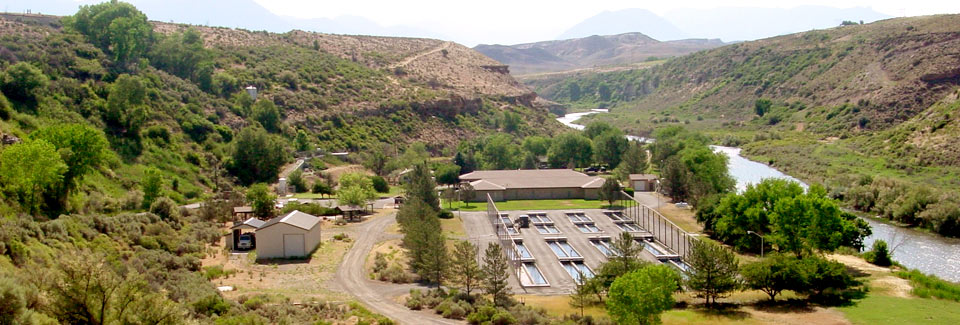 A landscape view of the Hotchkiss National Fish Hatchery. Credit: USFWS.