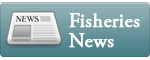 Fisheries news button