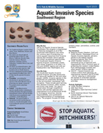 Aquatic Invasive Species Fact Sheet thumbnail