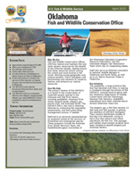 Oklahoma Fish and Wildlife Conservation Office Fact Sheet thumbnail