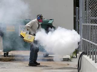 Expect More U.S. Zika Virus Cases, Experts Say