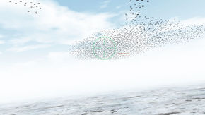 simulation of confusion effect when attacking a starling flock