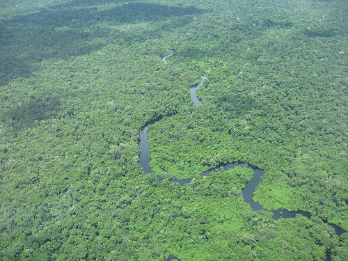 Dry conditions in Amazonia reduce uptake of carbon dioxide 