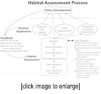 Habitat Assessment Process